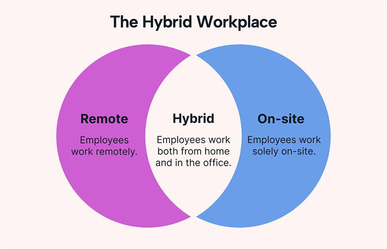 Infographic about The Hybrid Workplace 